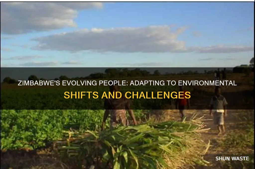 how have people changed from the environment of zimbabwe