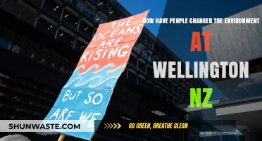 Wellington's Environmental Transformation: Human Impact on New Zealand's Capital