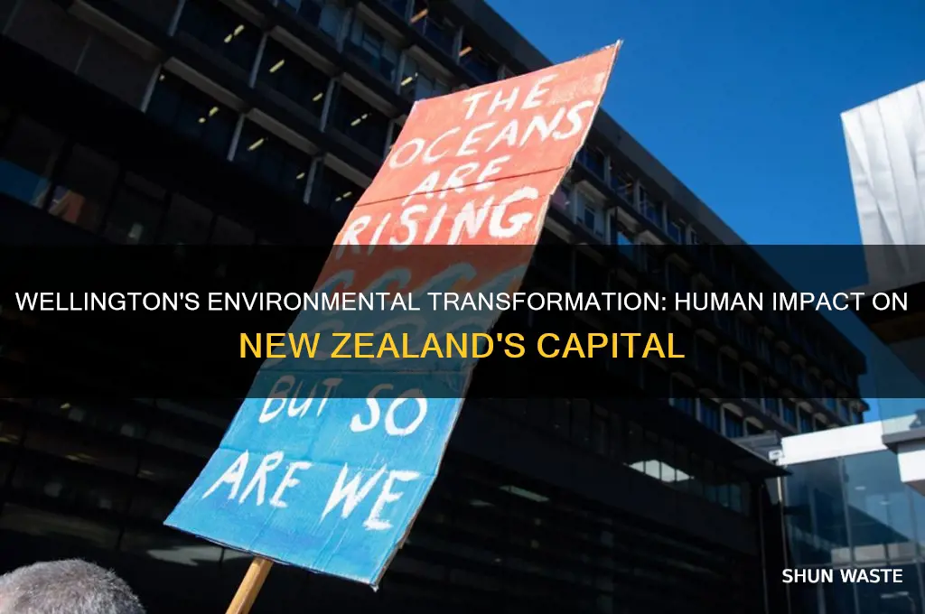 how have people changed the environment at wellington nz