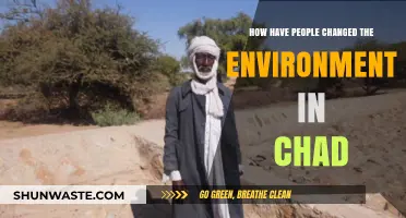 Human Impact on Chad's Environment: Changes, Challenges, and Consequences