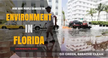 Florida's Transformed Landscape: Human Impact on the Environment Explored