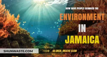 Jamaica's Transformed Landscape: Human Impact on the Island's Environment