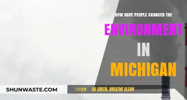 Human Impact: Transforming Michigan's Environment Through Industry and Urbanization