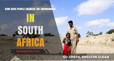 Human Impact: Transforming South Africa's Environment Through Actions and Choices