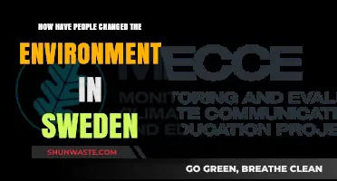 Human Impact on Sweden's Environment: Changes, Challenges, and Conservation Efforts