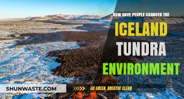 Human Impact on Iceland's Tundra: Transformations and Environmental Challenges