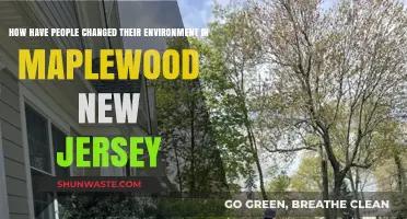 Transforming Maplewood: How Residents Shaped New Jersey's Environment