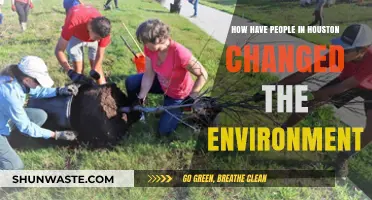 Houston's Environmental Evolution: How Residents Are Shaping Their City