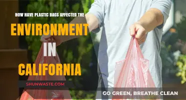 Plastic Bags' Environmental Impact on California's Ecosystems and Wildlife