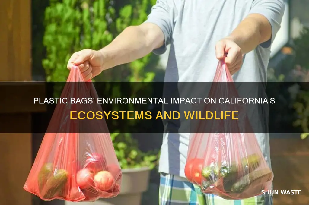 how have plastic bags affected the environment in california