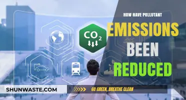 Reducing Pollutant Emissions: Strategies and Successes
