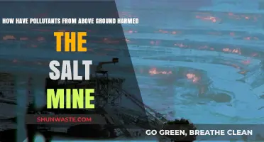 Salt Mine Pollution: Above Ground's Impact