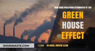 Greenhouse Effect: Pollution's Role and Impact