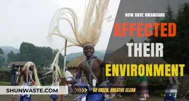 Rwanda's Environmental Impact: Challenges, Innovations, and Community Resilience