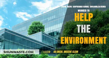 Supranational Organizations: Uniting Nations for Global Environmental Protection