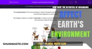 Organisms' Actions: Shaping Earth's Environment Through Complex Interactions