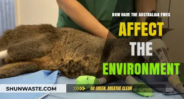 Australian Bushfires' Devastating Impact on Ecosystems and Wildlife