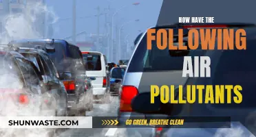 Air Pollutants: Understanding Their Impact and Our Health