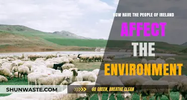 Ireland's Environmental Impact: How Its People Shape the Land and Climate