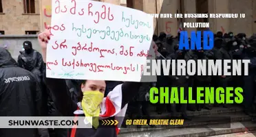 Russians' Response to Pollution and Environmental Challenges