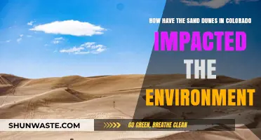 Colorado's Sand Dunes: Shaping Ecosystems and Environmental Impacts