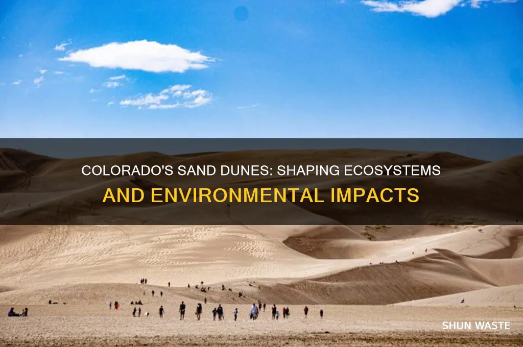 how have the sand dunes in colorado impacted the environment