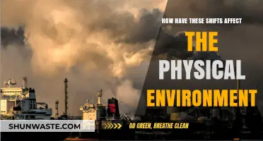 Environmental Impact: Analyzing Shifts and Their Physical Consequences