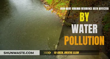 Virginia's Water Pollution: Impact on Residents' Lives