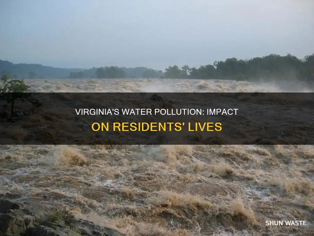 how have virginia residence been affected by water pollution