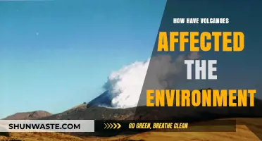 Volcanic Eruptions: Shaping Ecosystems, Climate, and Global Environments