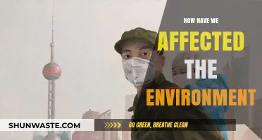 Human Impact on Nature: Our Actions and the Environment's Response