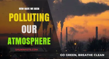 Human Impact: Polluting Our Atmosphere