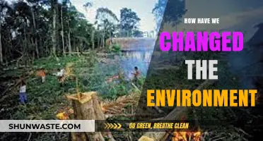 Human Impact: Transforming Our Environment, Shaping Earth's Future