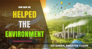 Sustainable Steps: Our Collective Impact on a Greener, Healthier Planet