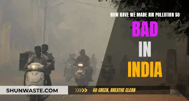 India's Air Pollution: A Man-Made Disaster