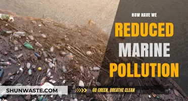 Marine Pollution: Strategies for Success