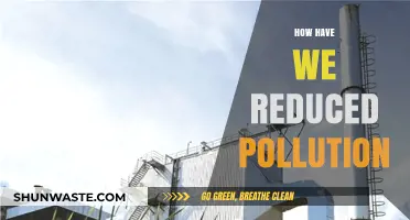 Reducing Pollution: Strategies for a Cleaner World