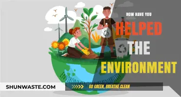 Sustainable Steps: My Journey in Protecting and Preserving Our Planet