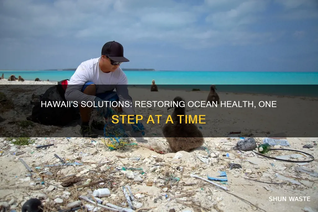 how hawaii can fix ocean pollution