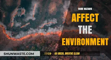 Environmental Impact: Understanding How Hazards Disrupt Ecosystems and Nature