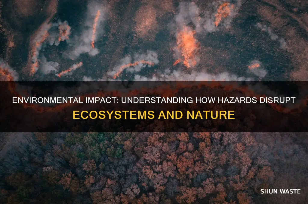 how hazard affect the environment