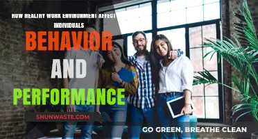 Healthy Workplaces: Boosting Behavior, Performance, and Employee Well-Being