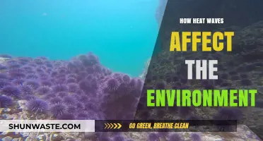 Heat Waves' Devastating Impact on Ecosystems and Environmental Health