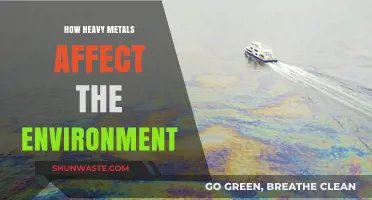 Toxic Threats: How Heavy Metals Poison Our Environment and Ecosystems