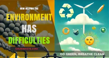Challenges in Eco-Friendly Living: Navigating the Complexities of Environmental Aid