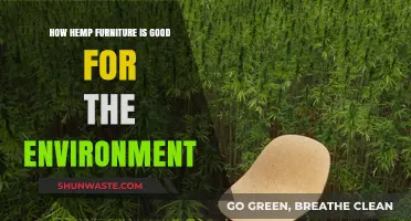 Eco-Friendly Hemp Furniture: Sustainable Living for a Greener Planet