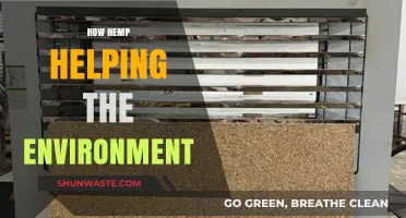 Hemp's Eco-Friendly Impact: Sustainable Solutions for a Greener Planet