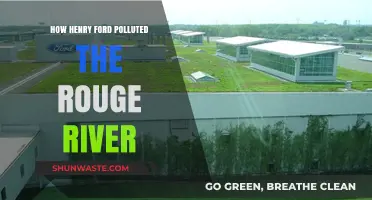 Henry Ford's Dark Legacy: Polluting the Rouge River