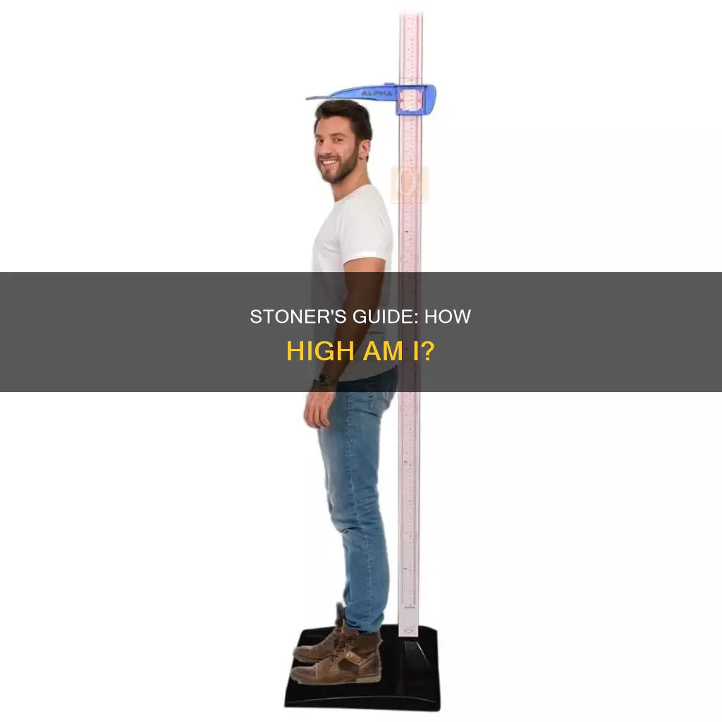 how high am i right now