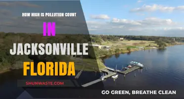 Jacksonville's Pollution: A Troubling Count